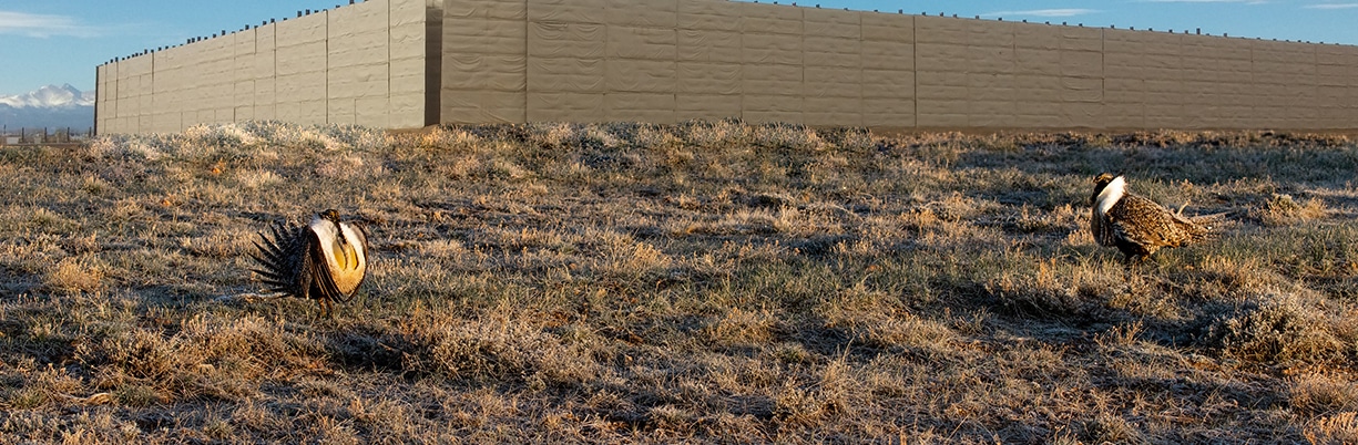 industry headers_environmental